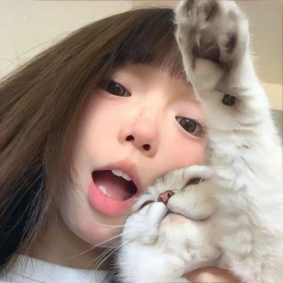 与鲨同游